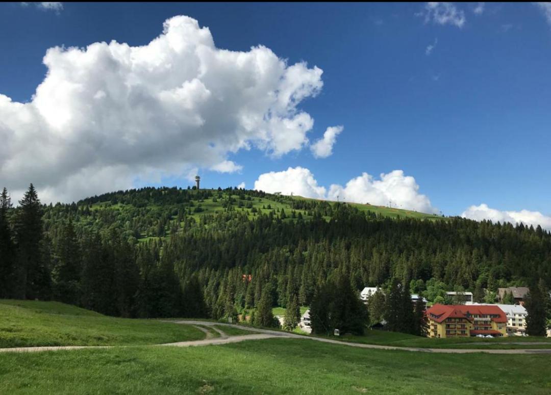 Ferienwohnung Feldberg Mit Whirlpool Direkt An Der Skipiste Eksteriør billede